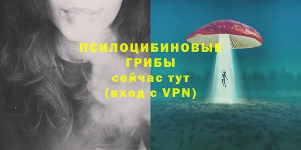 каннабис Новозыбков