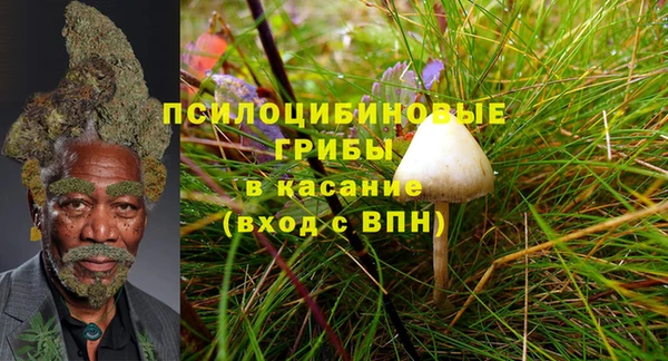 каннабис Новозыбков