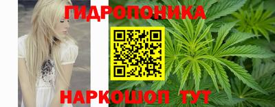 шишки Гусь-Хрустальный
