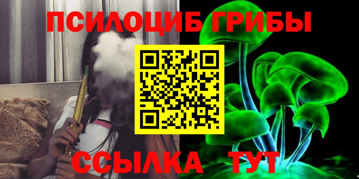 Псилоцибиновые грибы Cubensis  Вход с VPN  Ступино 